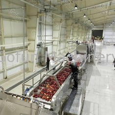 380 فولت 50 هرتز خط إنتاج مربى التفاح / عصير 2t / H توفير المياه