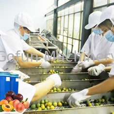 معدات الغذاء الصف المستخدمة في تركيز عصير تجهيز عصير الفاكهة
