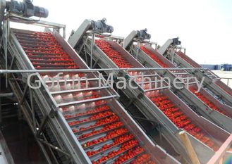 خط تجهيز الخضروات الصناعية خط معالجة معجون الطماطم توفير المياه عملية سهلة