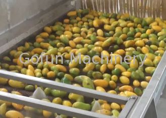 التلقائي مجفف الفاكهة الصناعية / الفاكهة آلة التجفيف الصناعية
