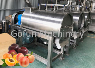 SS 304 خط معالجة الفاكهة الخوخ تجهيز عصير عصير هريس المجففة