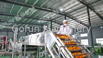 عصير الفاكهة متعددة الوظائف ماكينة لغسل / فرز 1500W - 2200W