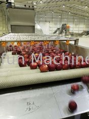 خط معالجة التفاح الأوتوماتيكي SUS304 لـ Puree 20t / H
