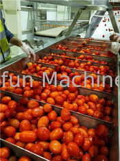 يمكن تعبئة خط معالجة الطماطم المركزة 800 جرام / القصدير
