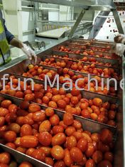 خط معالجة الطماطم SUS304 للصلصة المركزة 1500T / د