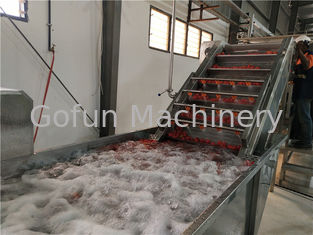 خط معالجة صلصة الطماطم متعدد الوظائف 250 طن / يوم