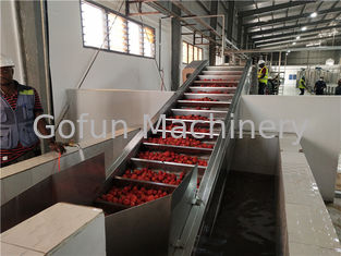 2000T / D خط معالجة الخضروات المركزة للطماطم SS304
