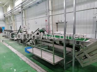 500T / D خط إنتاج لب الجوافة 415V مصنع معالجة الجوافة للعصير المركز