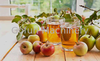 SS316 تركيز مصنع معالجة عصير التفاح 25t / H للمشروبات