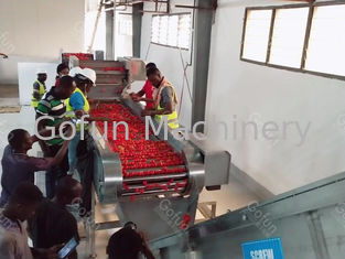 25t / H Sus304 خط معالجة الطماطم توفير الطاقة عالية الكفاءة