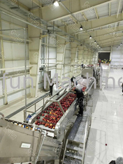 خط معالجة عصير التفاح 316 الفولاذ المقاوم للصدأ 50 هرتز مع نظام إعادة تدوير المياه