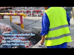 ما هي الآلات اللازمة لإنتاج صلصة الطماطم؟ كيف يعمل خط معالجة الطماطم على نطاق واسع