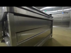 آلة تنظيف الفواكه والخضروات الآلية مجموعة كاملة من خطوط تنظيف الفواكه والخضروات