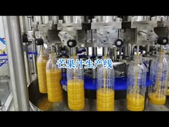 الجودة مرئية: توحيد فحص جودة التعبئة والتغليف في خطوط معالجة الطماطم