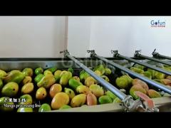 خط إنتاج عصير المانجو الفاخر