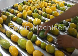 رقائق الفاكهة الصف الغذاء ماكينة 1500 طن / يوم انخفاض استهلاك الطاقة