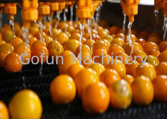 خط معالجة الحمضيات الصناعية وحدة معالجة الليمون البرتقالي ضمان سنة واحدة