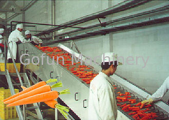 الجزرة المهنية تجهيز النبات / معدات تجهيز الفاكهة والخضروات
