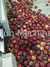 CE آلة تصنيع عصير التفاح الصناعية الأوتوماتيكية 7.5kw SUS304