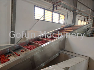 مصنع معالجة هريس الطماطم 250T / D 440V الصناعية