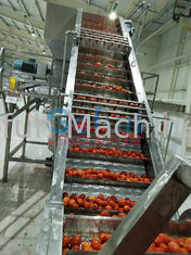 خط إنتاج كاتشب الطماطم 25T / H حشوة معقمة للطعام
