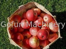 خط معالجة التفاح 3T / H للتسخين المسبق للنباتات الكاملة للعصير