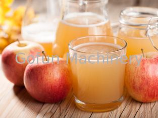 خط معالجة التفاح 3T / H للتسخين المسبق للنباتات الكاملة للعصير