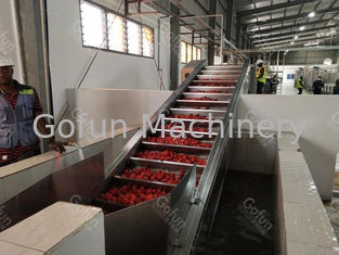 نظام إعادة تدوير المياه بخط معالجة معجون الطماطم الأوتوماتيكي 50t / ساعة