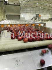 معيار الغذاء SUS 304 خط معالجة التفاح خط معالجة عصير الفاكهة الصحافة الباردة